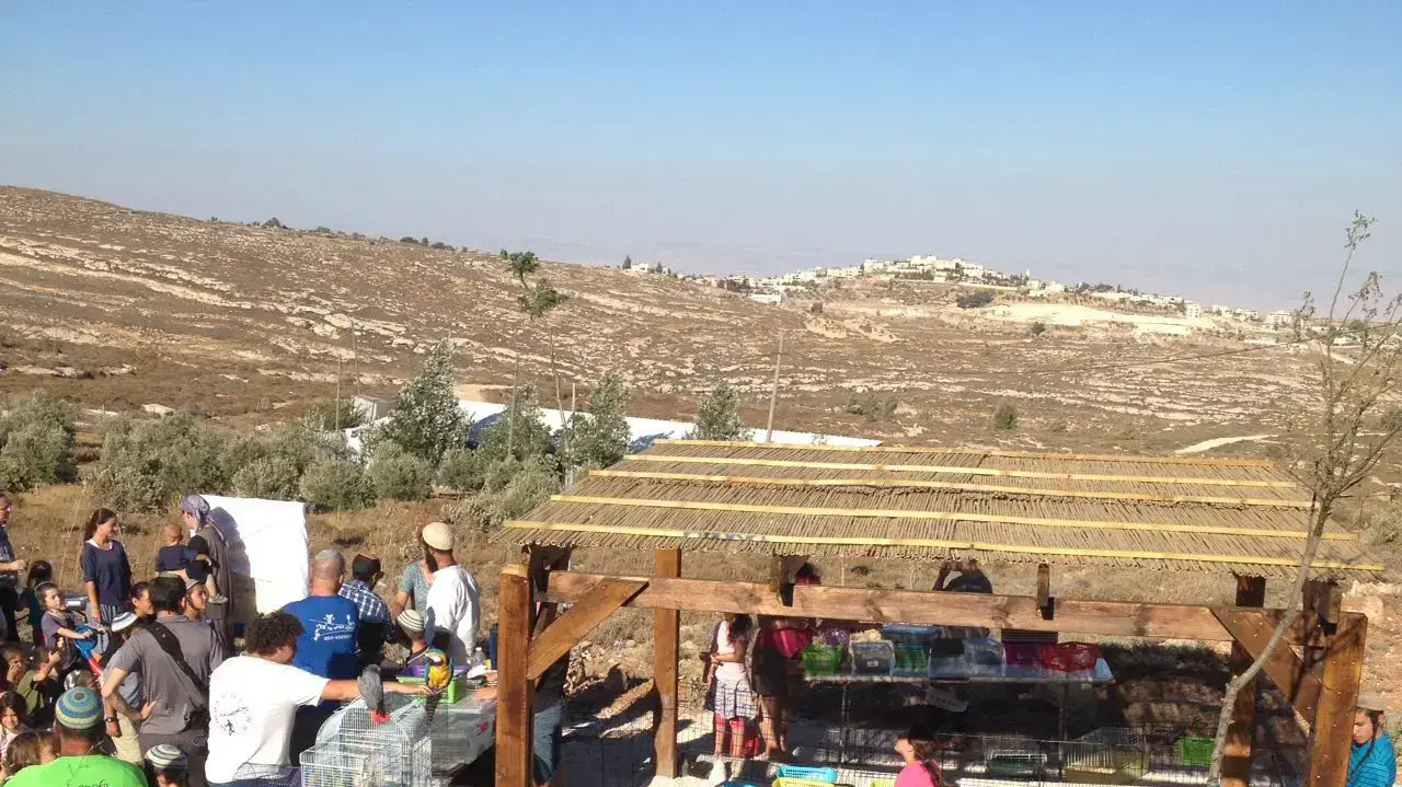 חנוכת גן שעשועים חדש בעמונה, יולי 2016 חנוכת גן שעשועים חדש בעמונה, יולי 2016