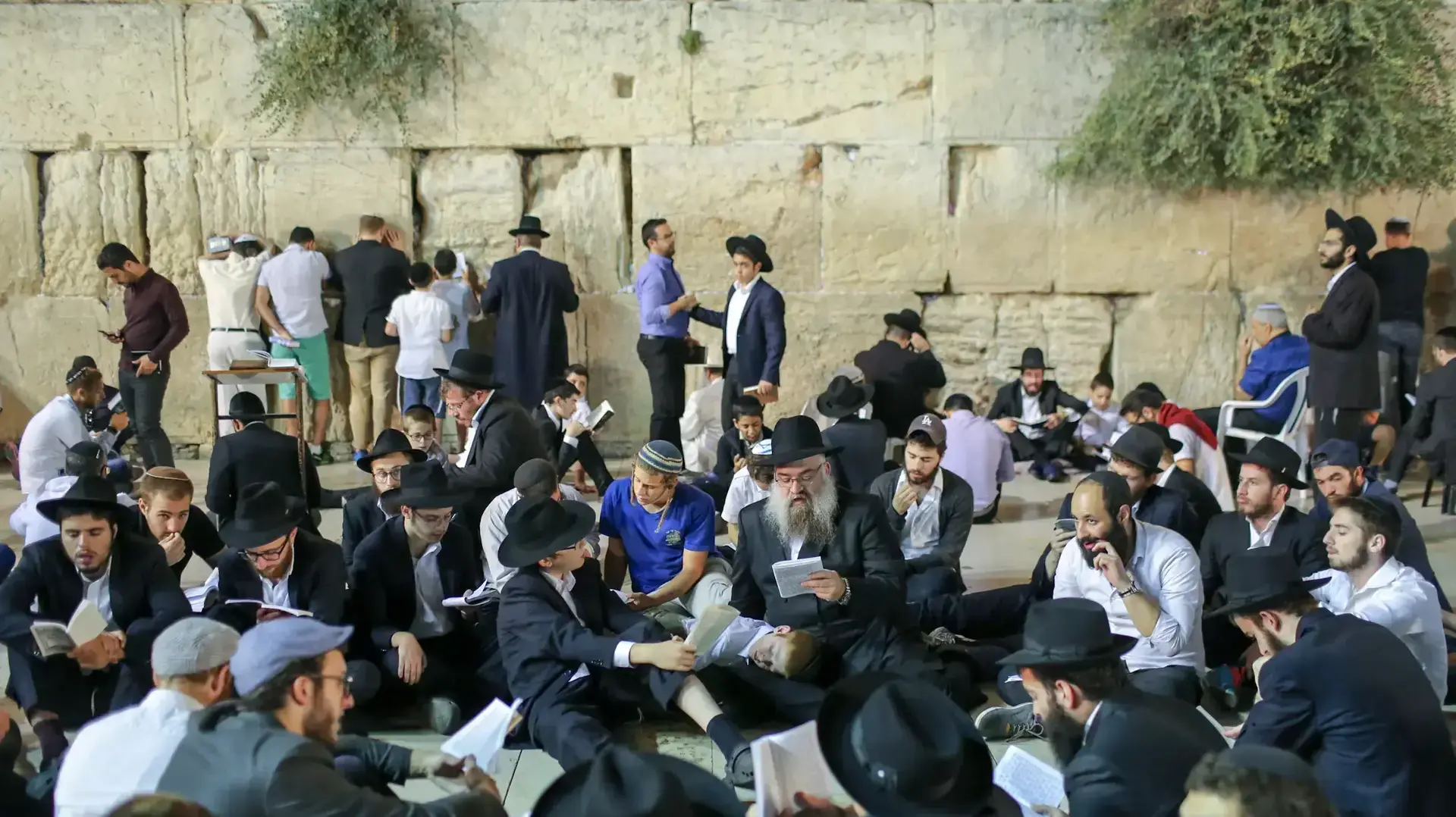 מתפללים בכותל המערבי ב-ט' באב, ירושלים, 13 באוגוסט 2016 מתפללים בכותל המערבי ב-ט' באב, ירושלים, 13 באוגוסט 2016