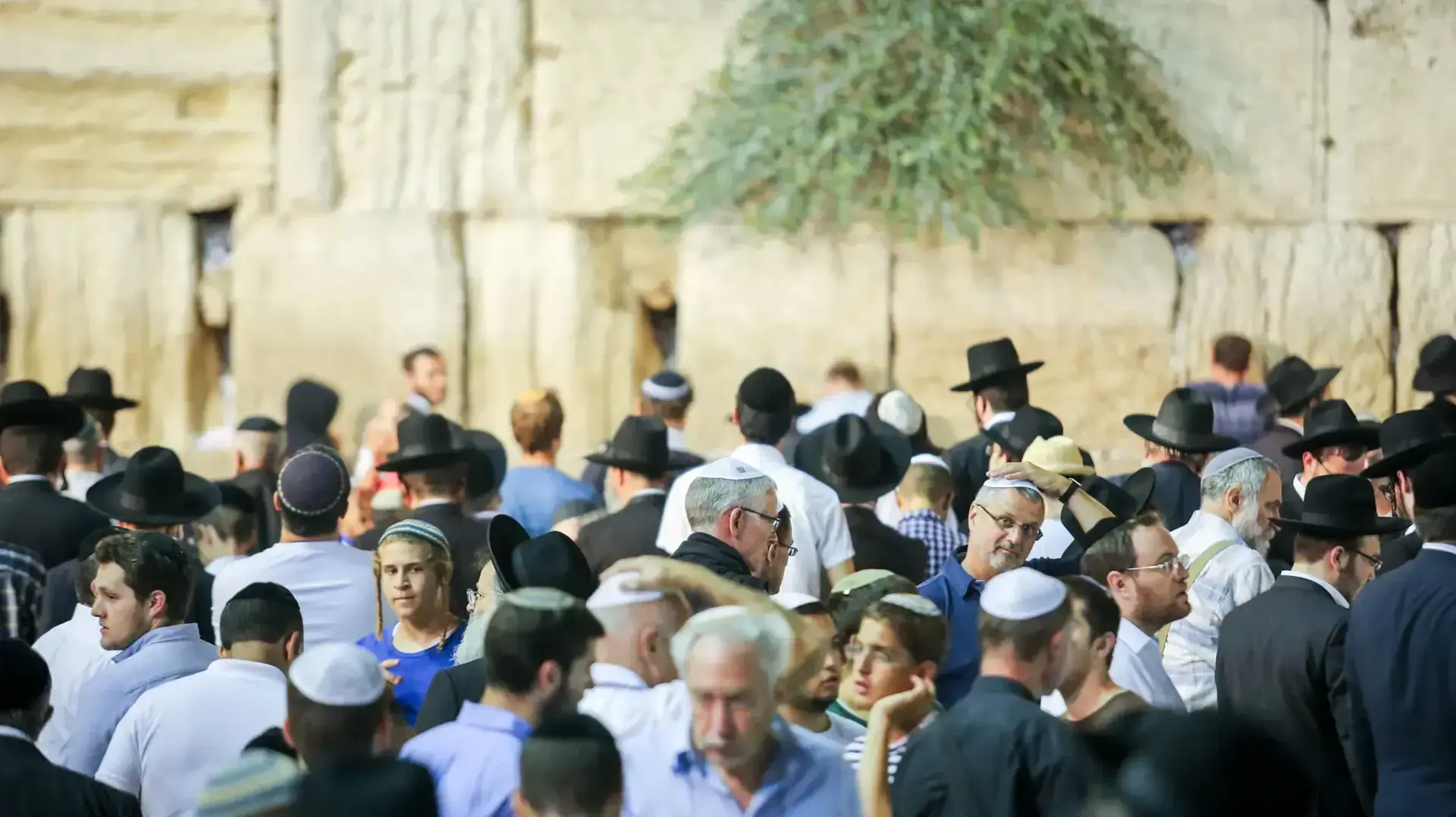 מתפללים בכותל המערבי בערב ט' באב, ירושלים, 13 באוגוסט 2016 מתפללים בכותל המערבי בערב ט' באב, ירושלים, 13 באוגוסט 2016