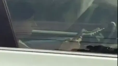 אישה נוהגת עם הרגליים