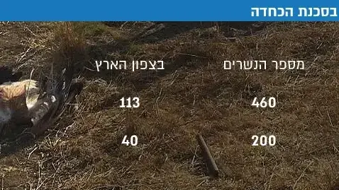 נשרים בסכנת הכחדה נשרים בסכנת הכחדה