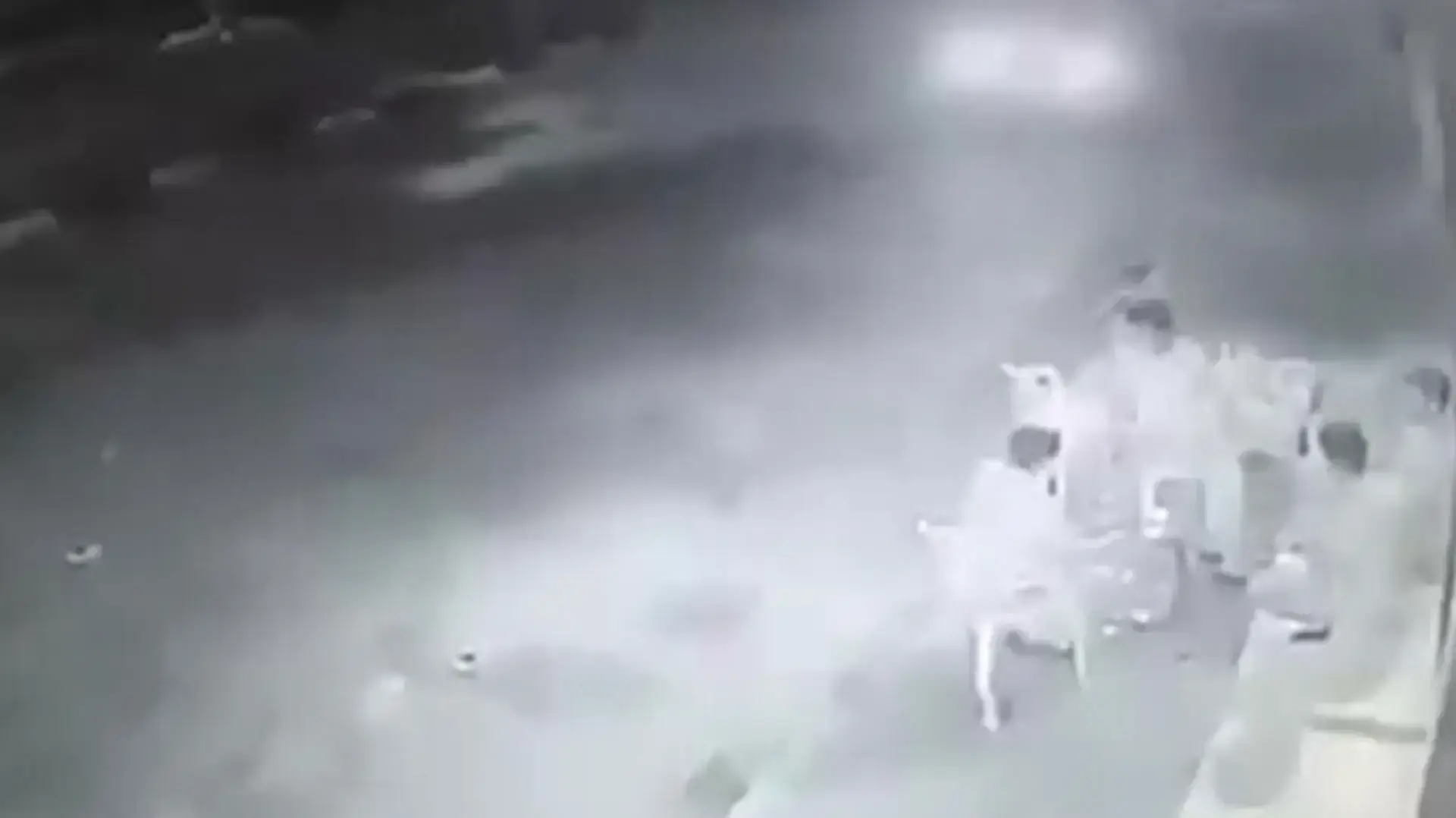 סרטון של רימון הלם שהושלך לעבר צעירים פלסטינים, אוגוסט 2016 סרטון של רימון הלם שהושלך לעבר צעירים פלסטינים, אוגוסט 2016