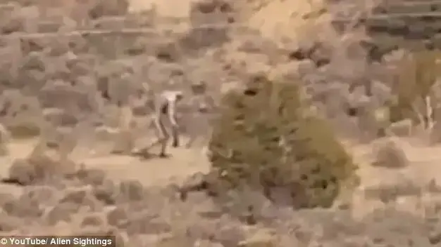 דמות מסתורית דמות מסתורית