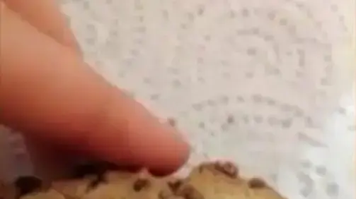 עוגיות שנמצאו בהן תולעים עוגיות שנמצאו בהן תולעים