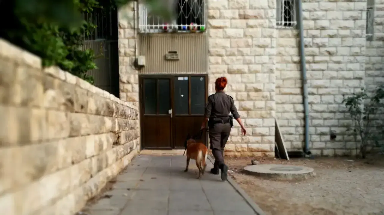 זירת דקירה בגבעת זאב זירת דקירה בגבעת זאב