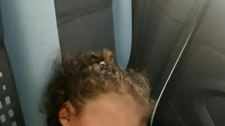 פעוט בן שנתיים נמצא משוטט לבדו במודיעין עילית, 30 באוגוסט 2016 פעוט בן שנתיים נמצא משוטט לבדו במודיעין עילית, 30 באוגוסט 2016
