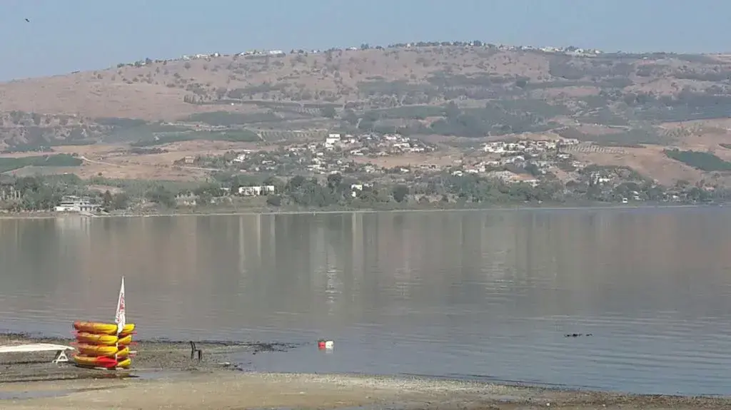 פגזים ישנים נמצאו סמוך לקיבוץ מעגן, חוף כנרת. ספטמבר 2016 פגזים ישנים נמצאו סמוך לקיבוץ מעגן, חוף כנרת. ספטמבר 2016