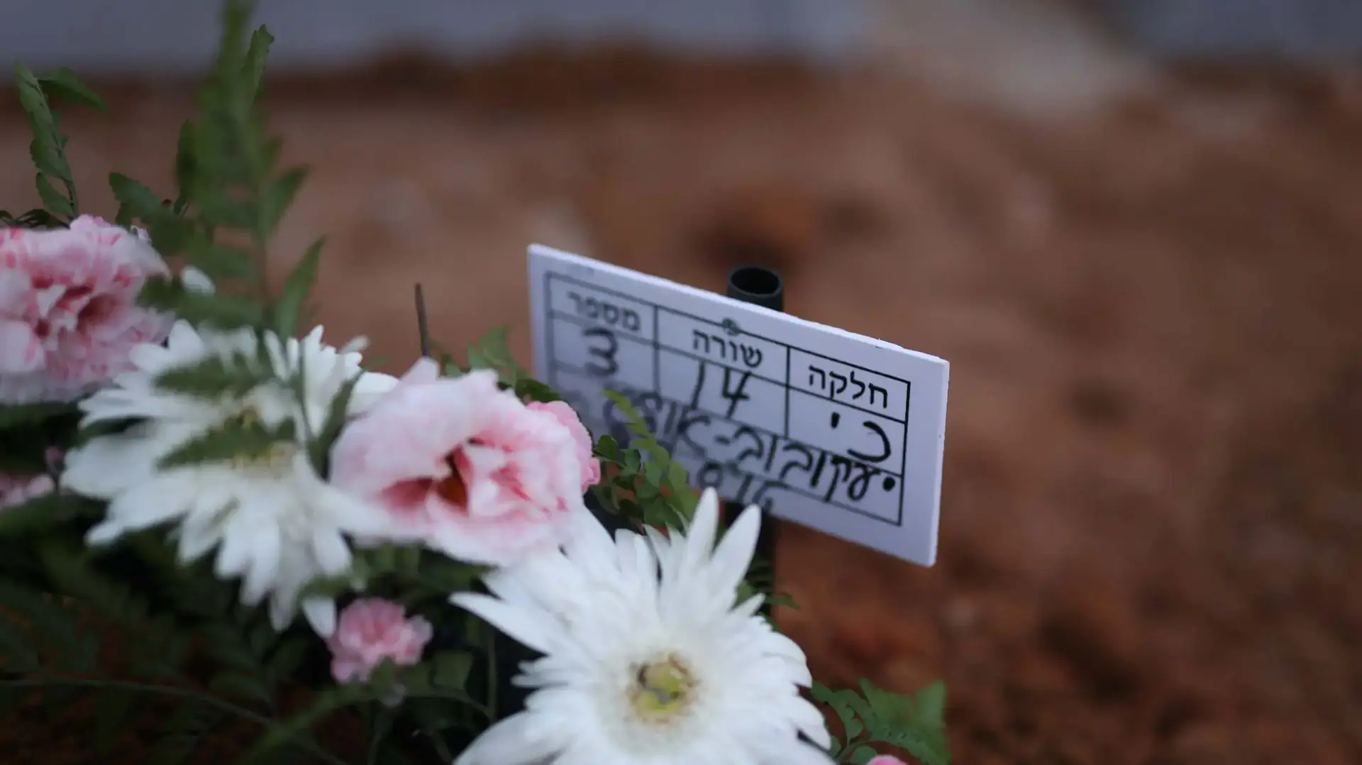 קברו של אולג יעקובוב נהרג באסון החניון ברמת החייל בית העלמין החדש רמלה קברו של אולג יעקובוב נהרג באסון החניון ברמת החייל בית העלמין החדש רמלה