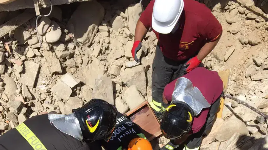 חתול חולץ מהריסות רעידת האדמה באיטליה לאחר 16 ימים חתול חולץ מהריסות רעידת האדמה באיטליה לאחר 16 ימים