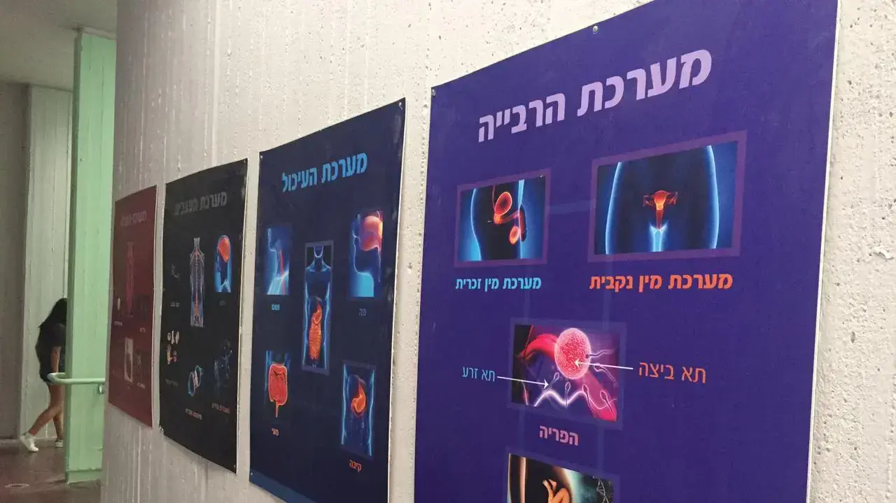 מסדרון בבית הספר ליידי דיוויס עם פוסטר על איברי הרבייה, ספטמבר 2016 מסדרון בבית הספר ליידי דיוויס עם פוסטר על איברי הרבייה, ספטמבר 2016