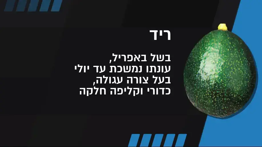 אבוקדו ריד, המדריך לבחירת אבוקדו בשל