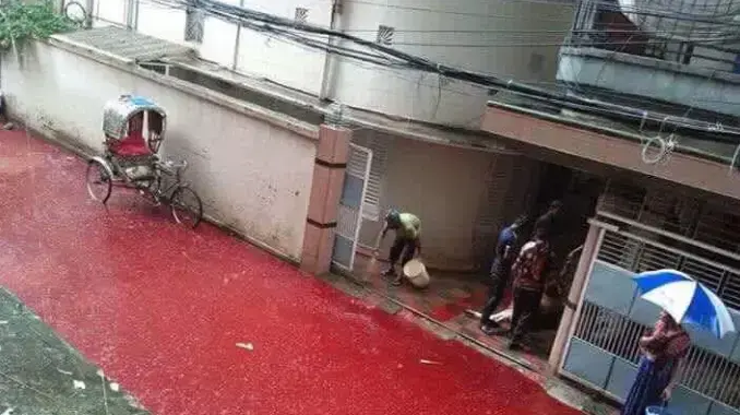 נהרות של דם ברחובות דאקה, בירת בנגלדש, בעקבות הקרבת קורבנות במהלך שיטפונות בחג הקורבן, ספטמבר 2016 נהרות של דם ברחובות דאקה, בירת בנגלדש, בעקבות הקרבת קורבנות במהלך שיטפונות בחג הקורבן, ספטמבר 2016
