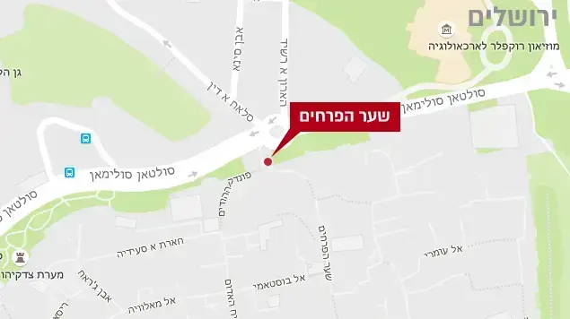 זירת פיגוע דקירה זירת פיגוע דקירה