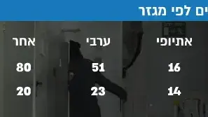 פילוח נערים נאשמים לפי מגזר פילוח נערים נאשמים לפי מגזר