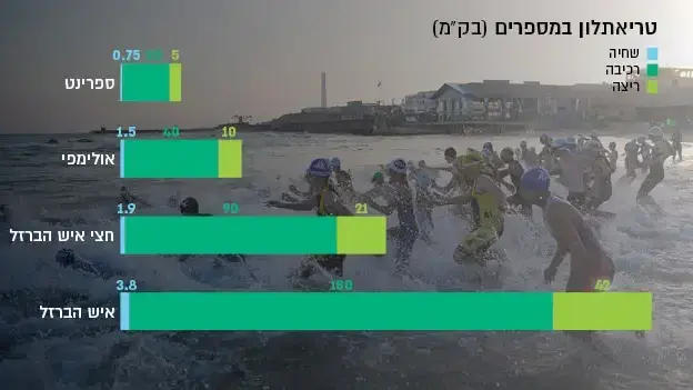 טריאתלון במספרים (בק"מ) טריאתלון במספרים (בק"מ)