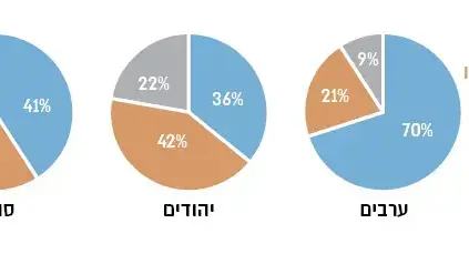 אינפו גרפיקה סקר גלעד שליט אינפו גרפיקה סקר גלעד שליט