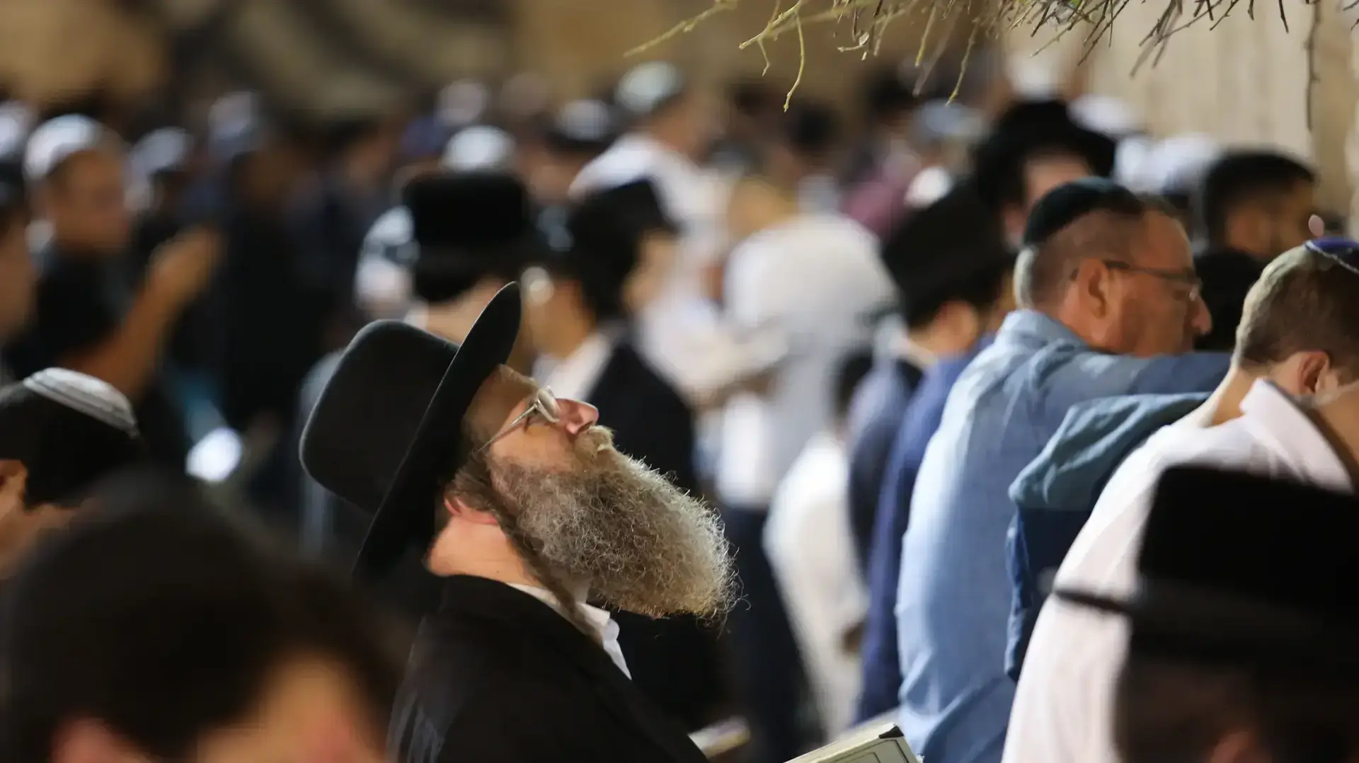 תפילת סליחות בכותל המערבי, 10 באוקטובר 2016 תפילת סליחות בכותל המערבי, 10 באוקטובר 2016