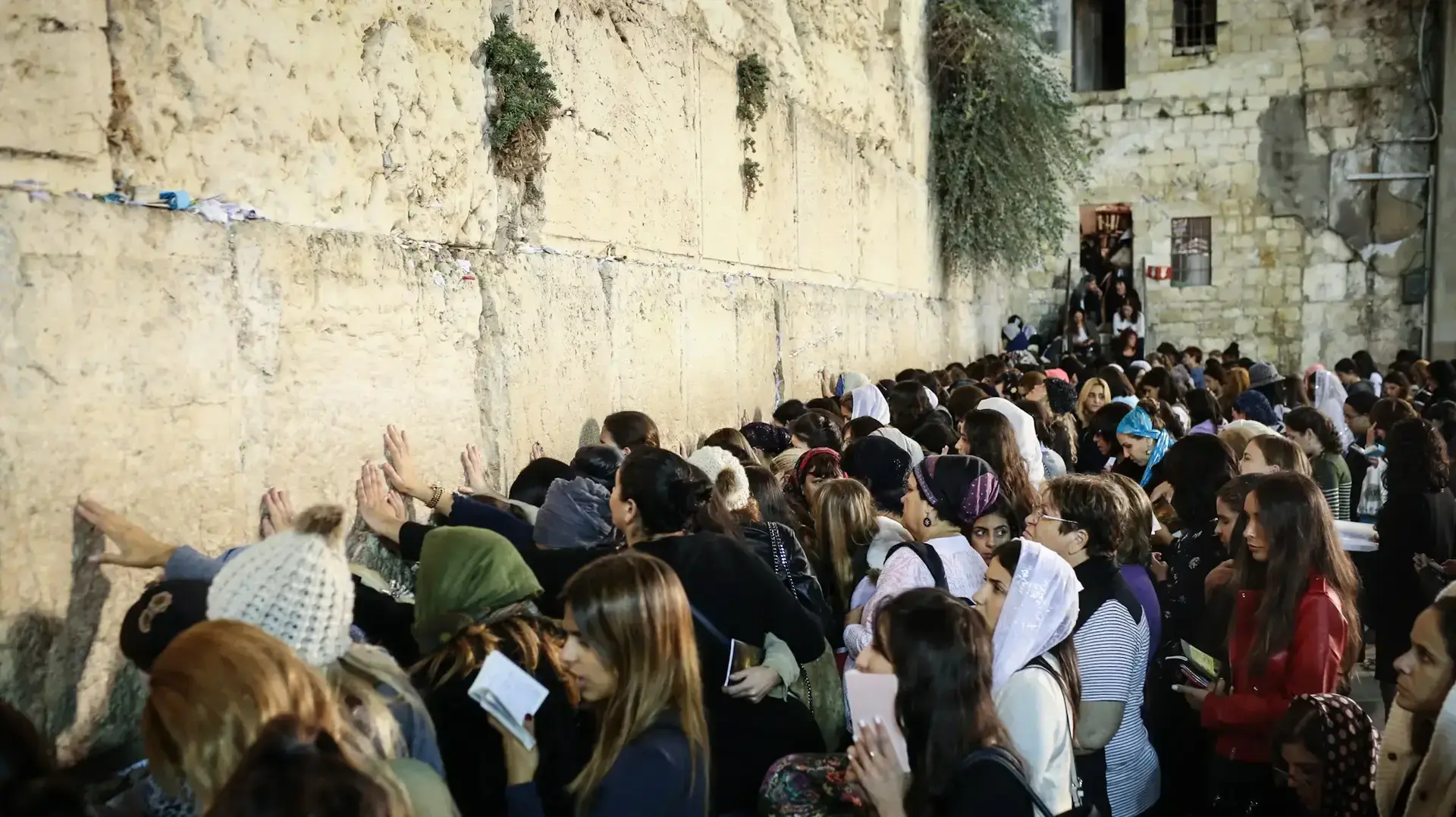 תפילת סליחות בכותל המערבי, 10 באוקטובר 2016 תפילת סליחות בכותל המערבי, 10 באוקטובר 2016