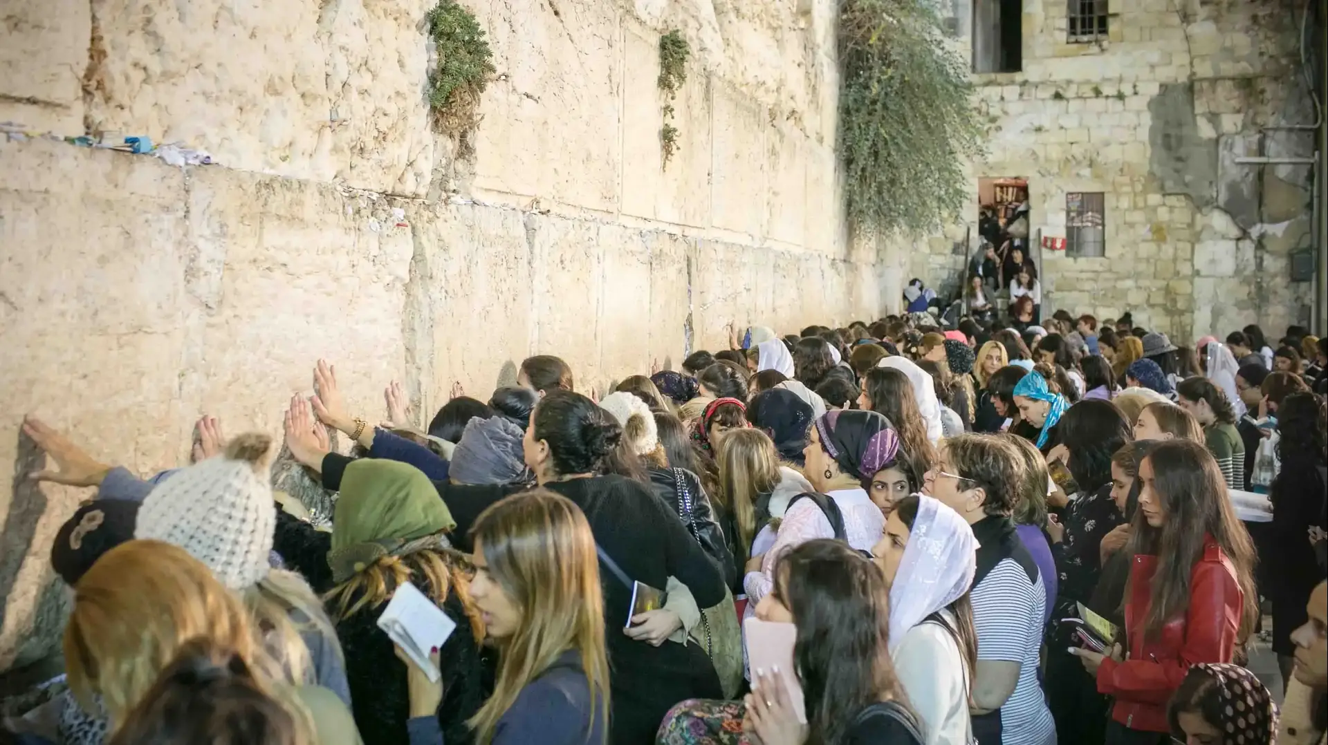 סליחות בכותל המערבי, ירושלים, אוקטובר 2016 סליחות בכותל המערבי, ירושלים, אוקטובר 2016