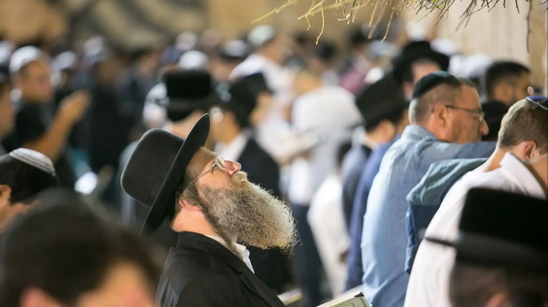 סליחות בכותל המערבי, ירושלים, אוקטובר 2016 סליחות בכותל המערבי, ירושלים, אוקטובר 2016