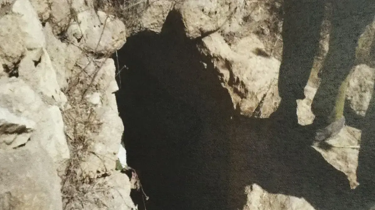 שלושה תושבי טייבה הואשמו בהצטרפות לדאעש, 13 באוקטובר 2016 שלושה תושבי טייבה הואשמו בהצטרפות לדאעש, 13 באוקטובר 2016