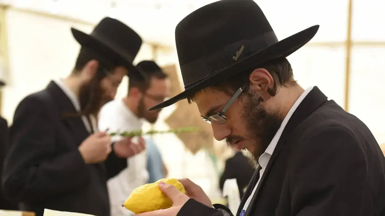 שוק ארבעת המינים לפני חג סוכות, אוקטובר 2016