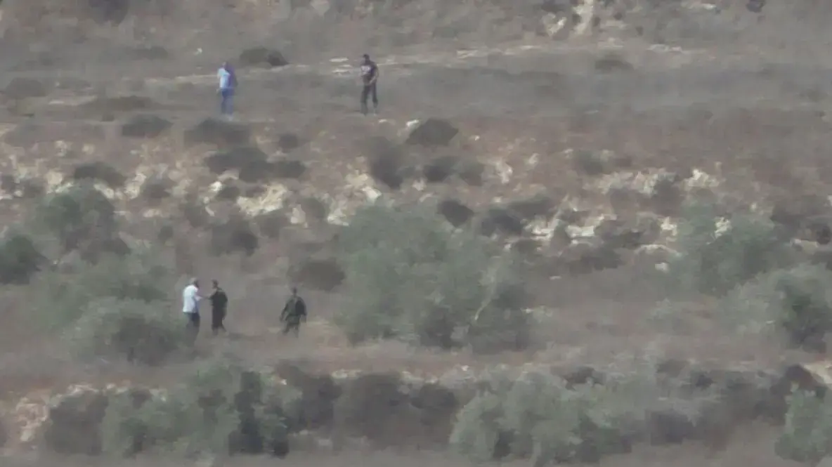 מתנחלים חיבלו לכאורה במסיק של פלסטינים בבית פוריק, 15 באוקטובר 2016 מתנחלים חיבלו לכאורה במסיק של פלסטינים בבית פוריק, 15 באוקטובר 2016