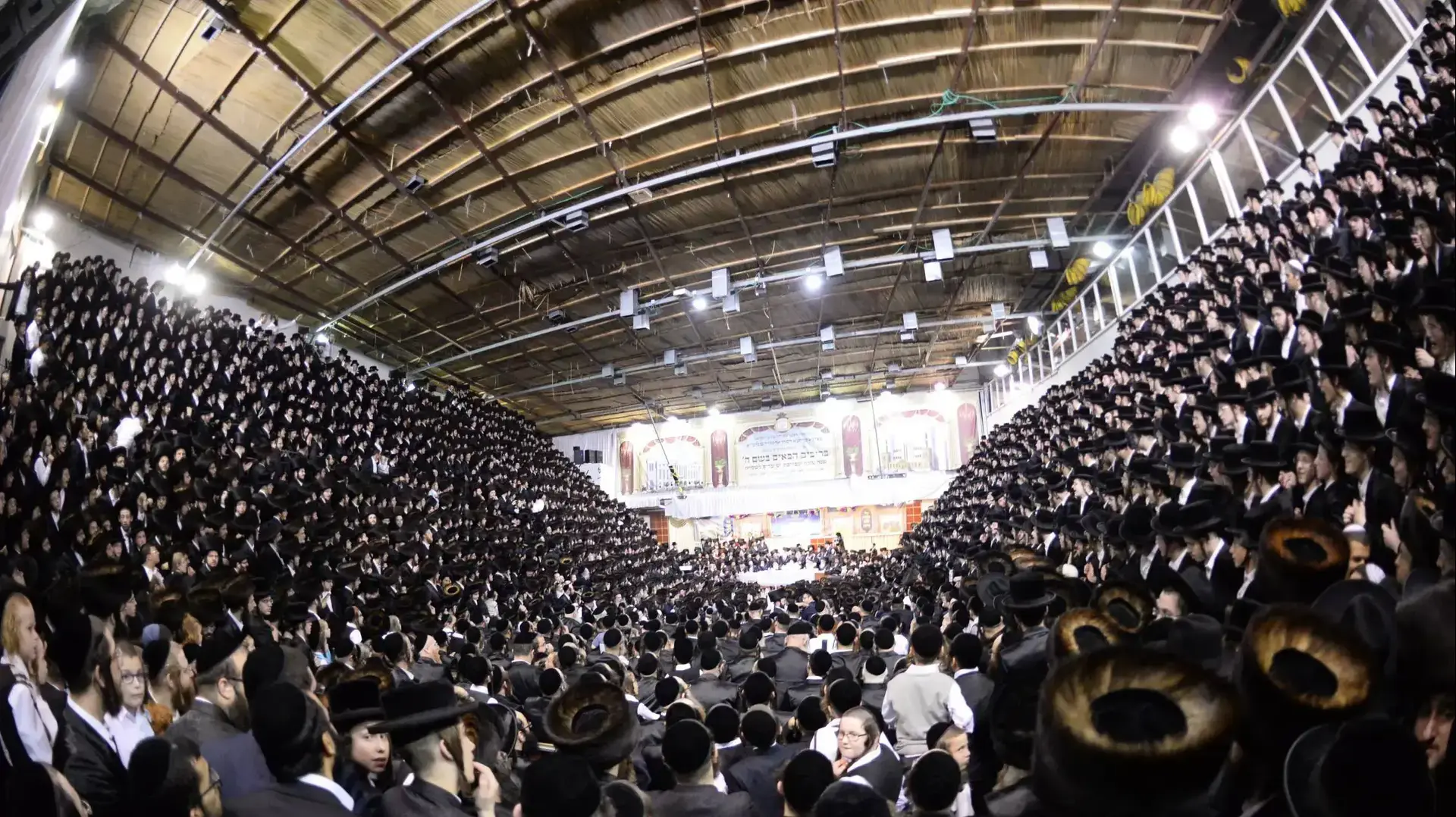 סוכת ויזניץ' בבני ברק סוכת ויזניץ' בבני ברק