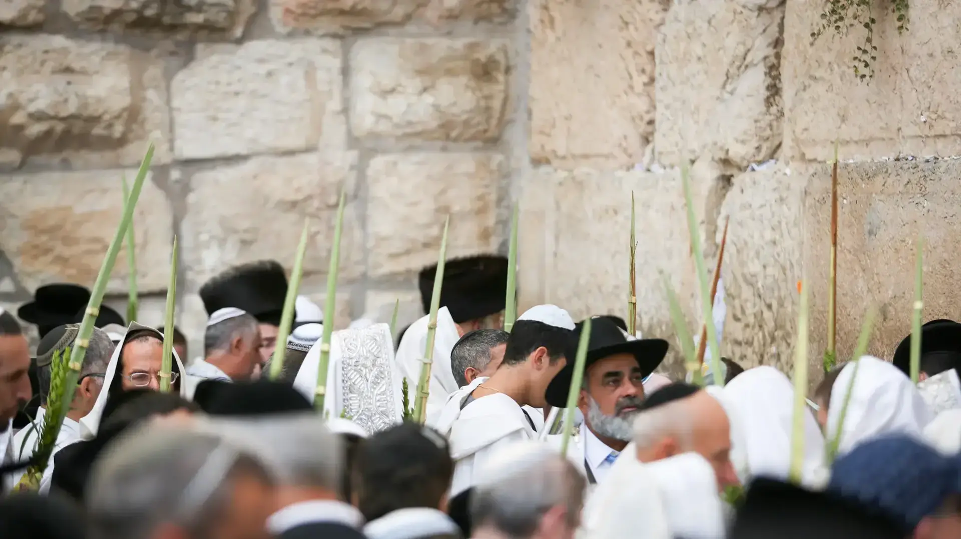 ברכת הכהנים המסורתית, רחבת הכותל המערבי, ירושלים. אוקטובר 2016 ברכת הכהנים המסורתית, רחבת הכותל המערבי, ירושלים. אוקטובר 2016