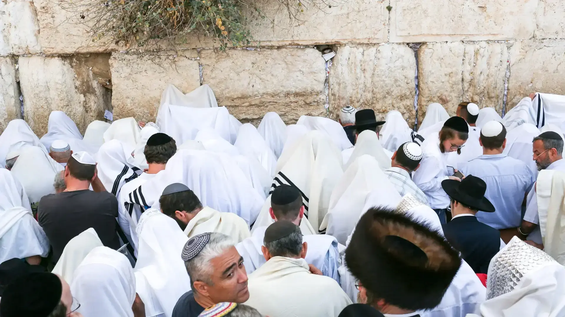 ברכת הכהנים המסורתית, רחבת הכותל המערבי, ירושלים. אוקטובר 2016 ברכת הכהנים המסורתית, רחבת הכותל המערבי, ירושלים. אוקטובר 2016
