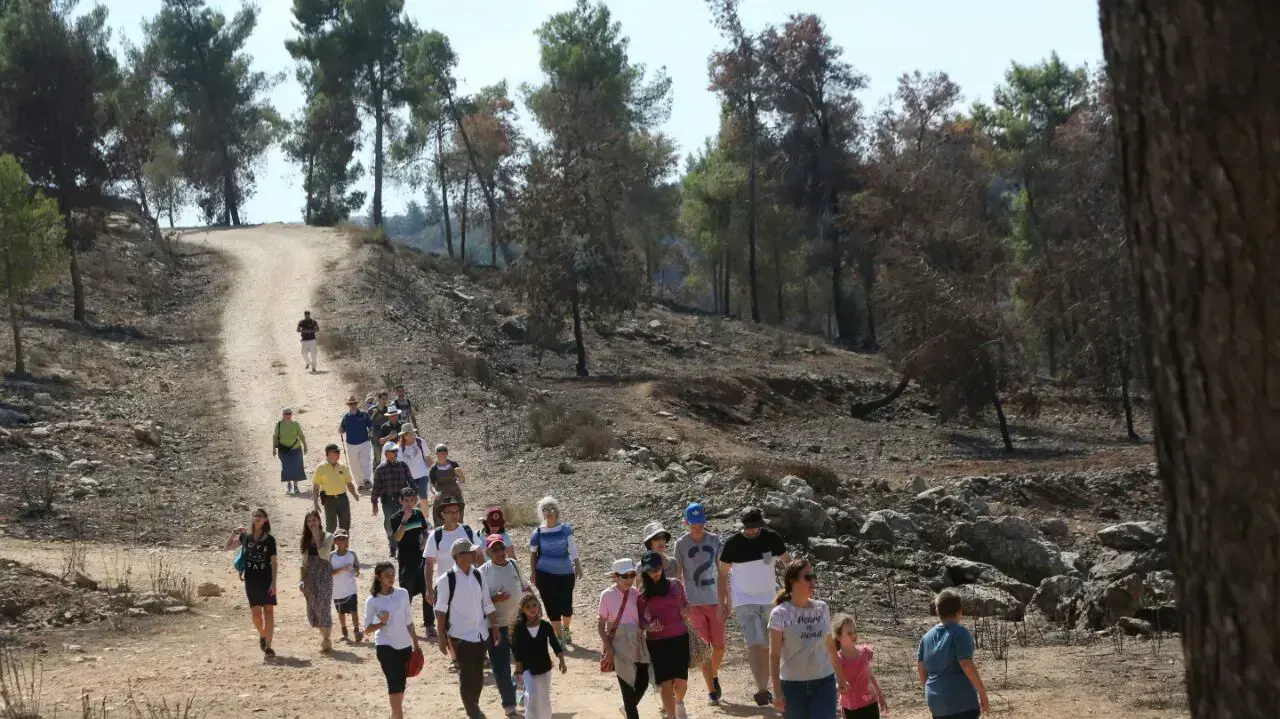 מטיילים במצפה נפתוח, ביער מורדות רמות בירושלים, 24 באוקטובר 2016 מטיילים במצפה נפתוח, ביער מורדות רמות בירושלים, 24 באוקטובר 2016