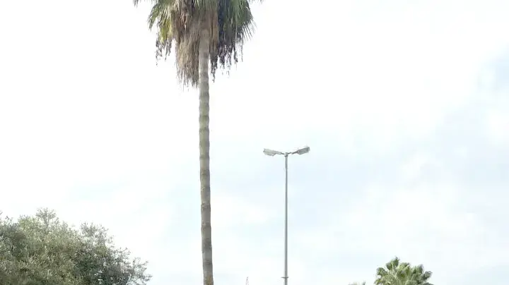תאונה בין אוטובוס למשאית בשדרות רוקח בתל אביב, 27 באוקטובר 2016 תאונה בין אוטובוס למשאית בשדרות רוקח בתל אביב, 27 באוקטובר 2016