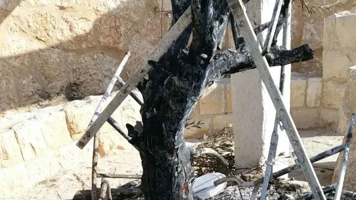 אנדרטה לזכר חיילי צה"ל בדרום הר חברון הושחתה, אוקטובר 2016
