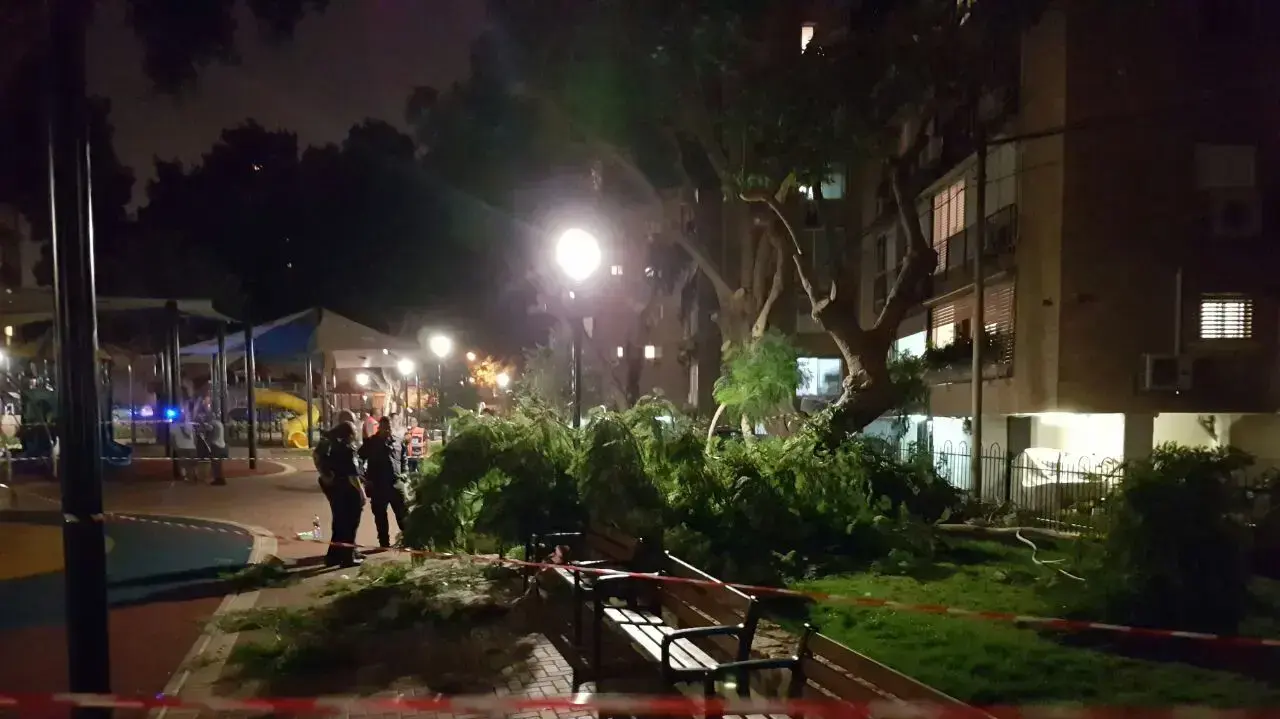 שלושה בני אדם נפצעו בקריסת עץ ברמת גן, 29 באוקטובר 2016