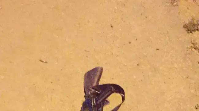 הרובה ששימש את המחבל שביצע פיגוע ירי במחסום פוקוס, הסמוך לבית אל שבבנימין, 31 באוקטובר 2016
