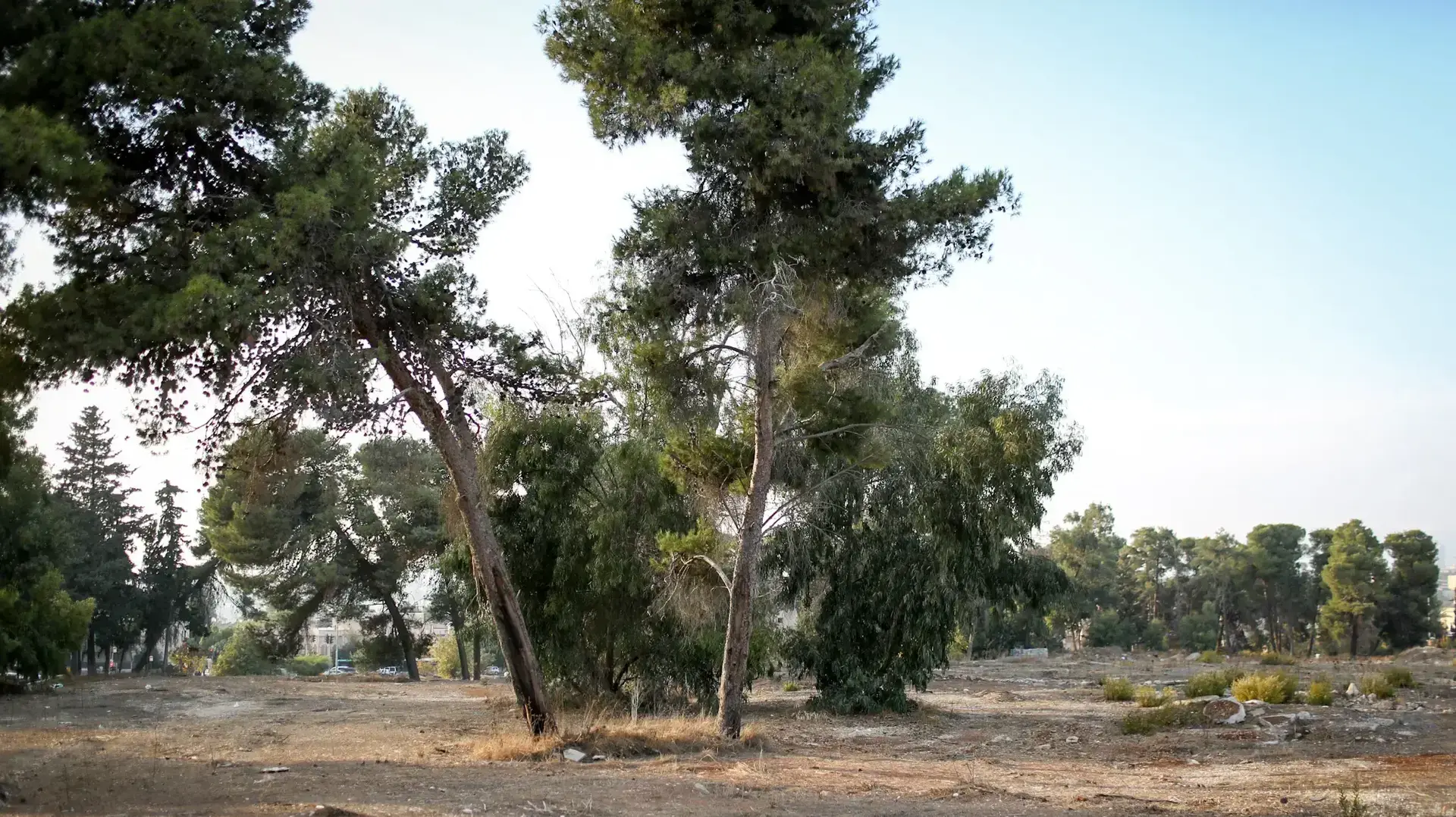 מתחם אלנבי בירושלים, 11 בנובמבר 2016 מתחם אלנבי בירושלים, 11 בנובמבר 2016