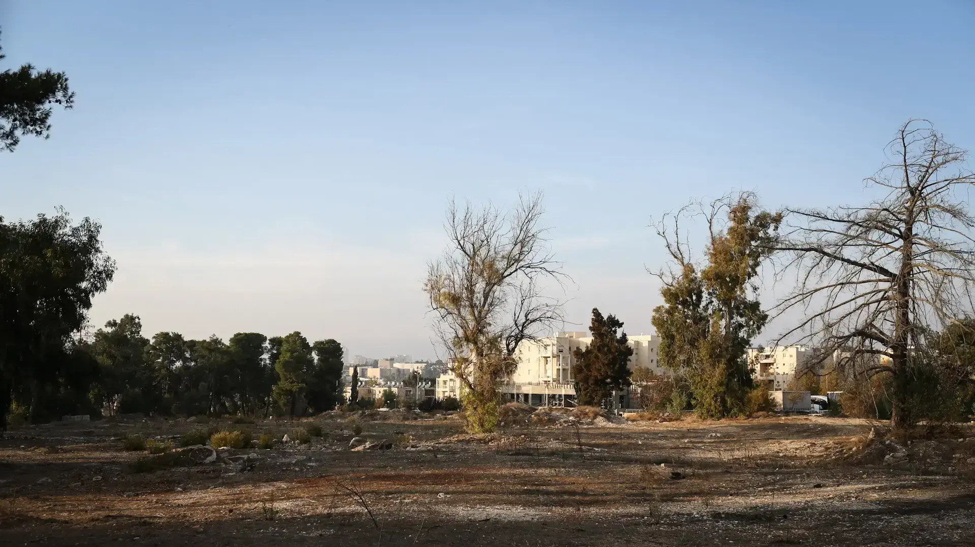 מתחם אלנבי בירושלים, 11 בנובמבר 2016 מתחם אלנבי בירושלים, 11 בנובמבר 2016