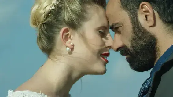 מיומנו של צלם חתונות מיומנו של צלם חתונות