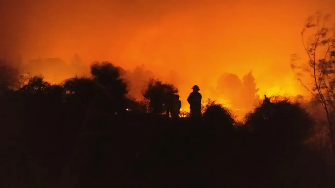 שריפה ביער לטרון שגרמה לפינוי היישוב נווה שלום. 22 בנובמבר 2016 שריפה ביער לטרון שגרמה לפינוי היישוב נווה שלום. 22 בנובמבר 2016