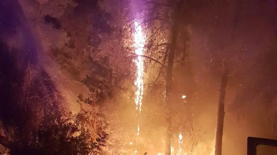 שריפה ביער לטרון שגרמה לפינוי היישוב נווה שלום. 22 בנובמבר 2016