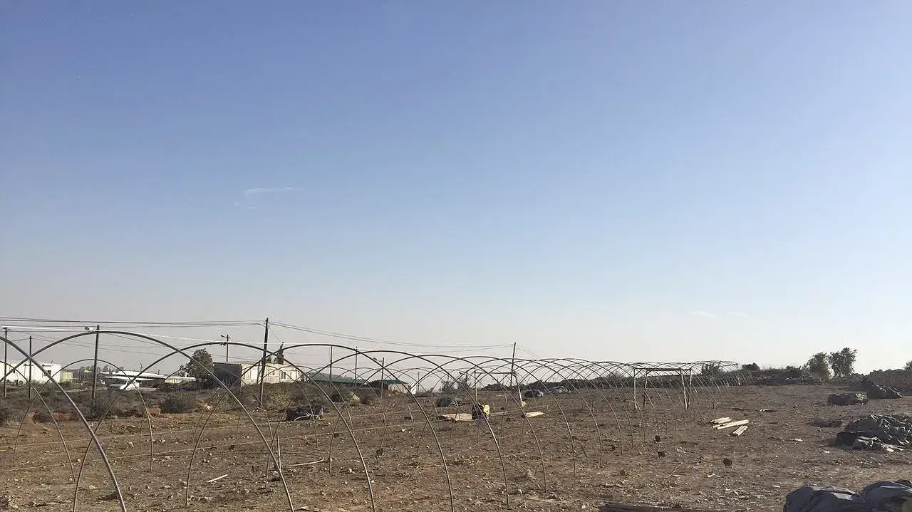 תושבי עמונה נערכים לפינוי, 21 בנובמבר 2016 תושבי עמונה נערכים לפינוי, 21 בנובמבר 2016