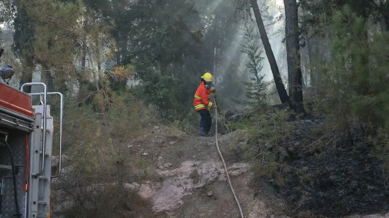 כוחות כיבוי והצלה בזירת השריפה ביער של נווה שלום, 22 בנובמבר 2016 כוחות כיבוי והצלה בזירת השריפה ביער של נווה שלום, 22 בנובמבר 2016