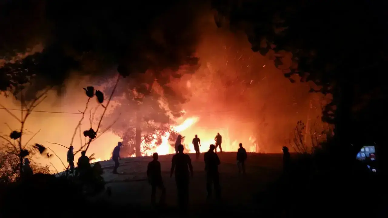 שריפת חורש בדולב שבבנימין, 22 בנובמבר 2016 שריפת חורש בדולב שבבנימין, 22 בנובמבר 2016