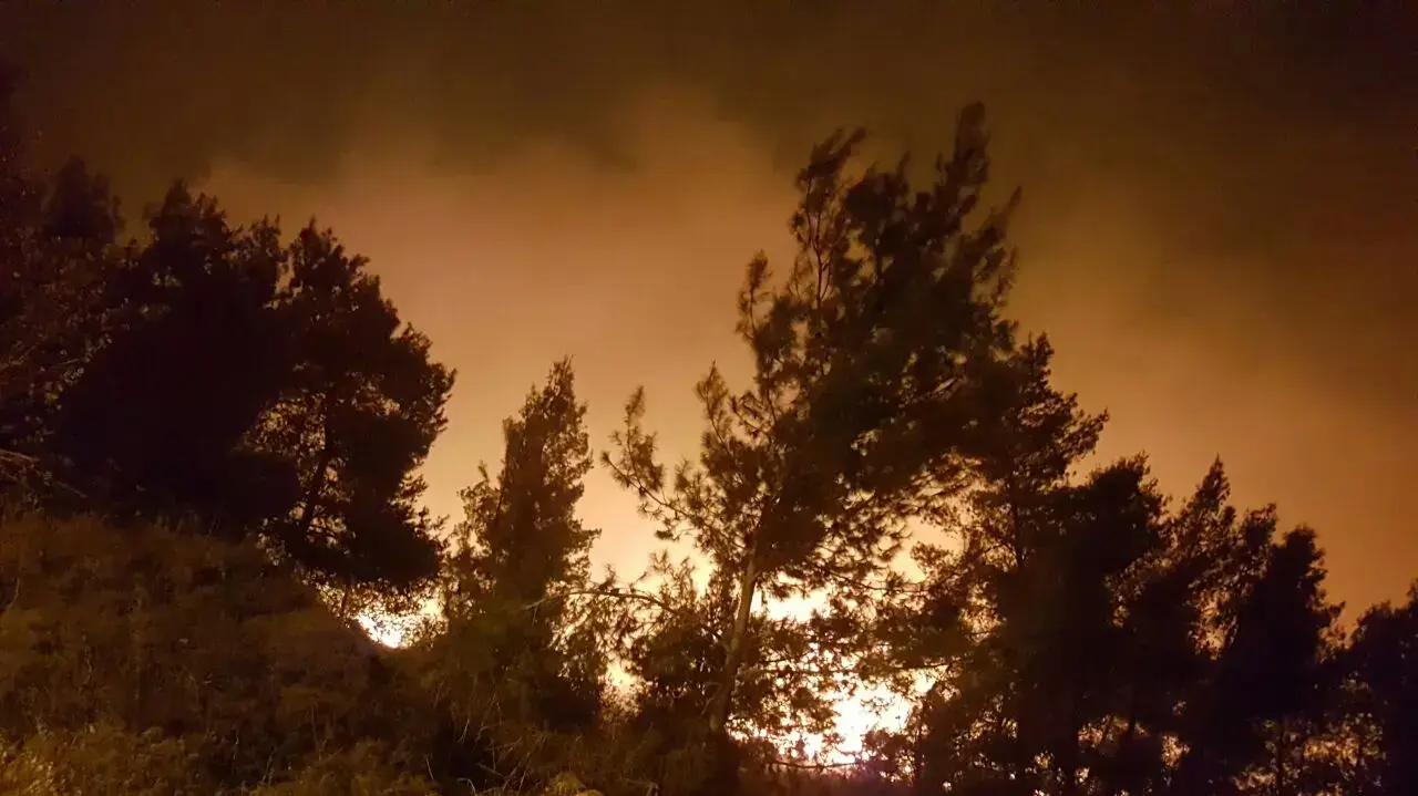 שריפה ביישוב דולב שבבנימין, 23 בנובמבר 2016 שריפה ביישוב דולב שבבנימין, 23 בנובמבר 2016