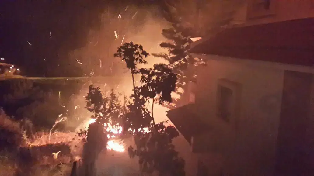 שריפה בזכרון יעקב, 23 בנובמבר 2016 שריפה בזכרון יעקב, 23 בנובמבר 2016