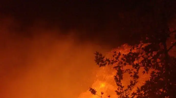 שריפה ביישוב דולב, מועצה אזורית מטה בנימין. נובמבר 2016 שריפה ביישוב דולב, מועצה אזורית מטה בנימין. נובמבר 2016