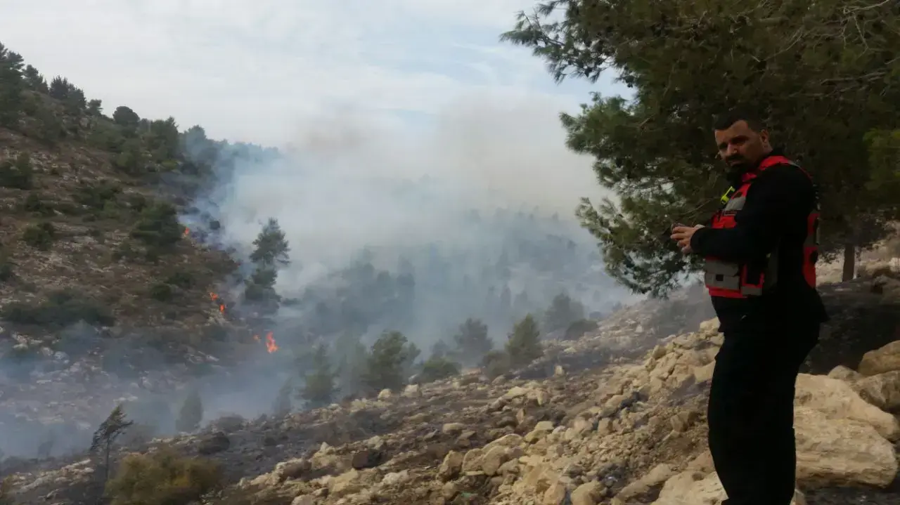 שריפה ביער נטף, ירושלים. נובמבר 2016 שריפה ביער נטף, ירושלים. נובמבר 2016