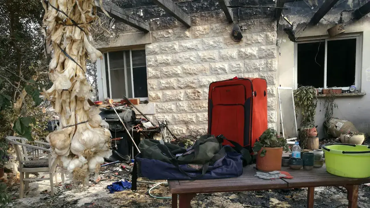 שריפה ביער נטף, ירושלים. נובמבר 2016 שריפה ביער נטף, ירושלים. נובמבר 2016