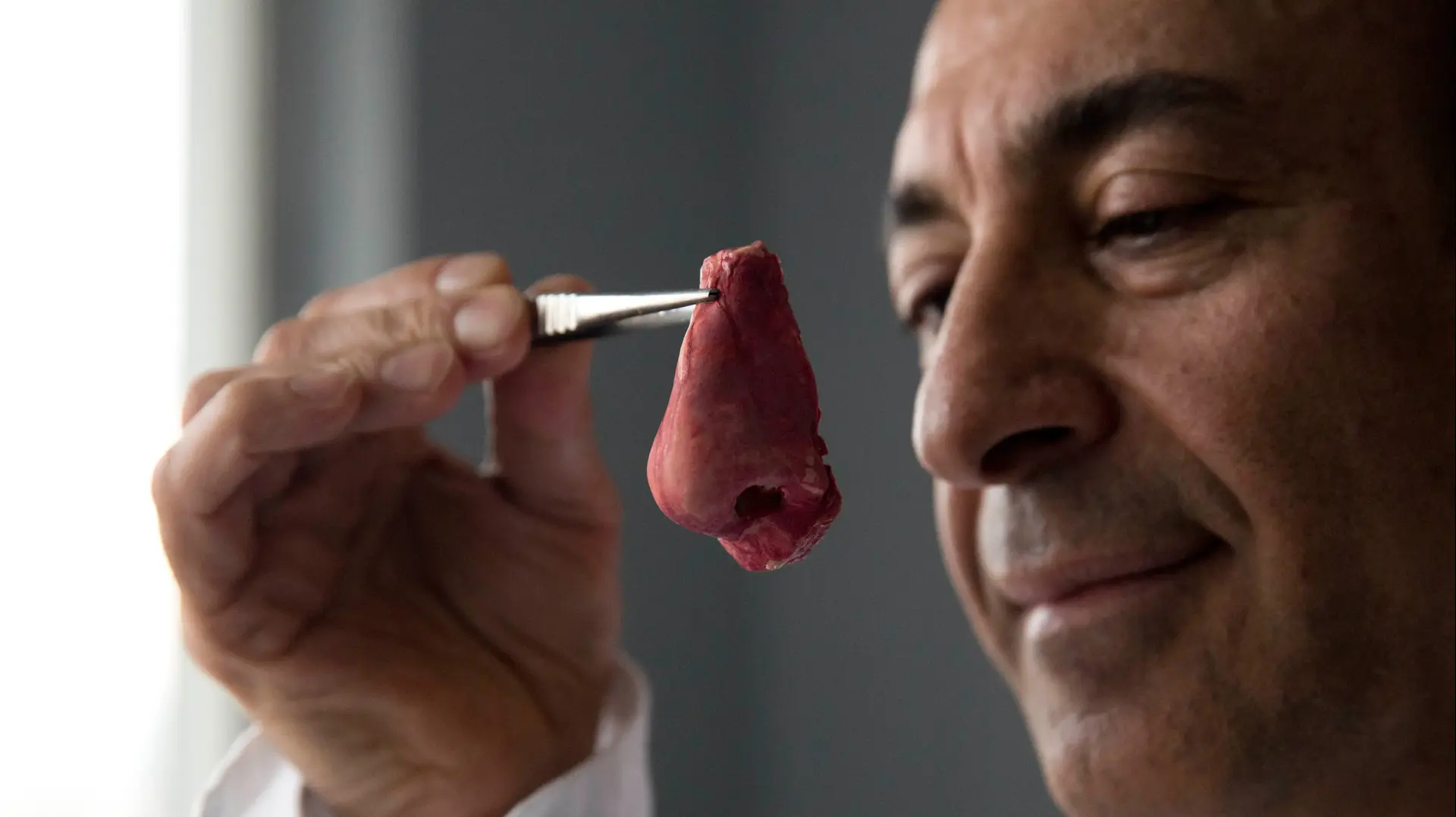 בניית אף אנושי במעבדה בניית אף אנושי במעבדה