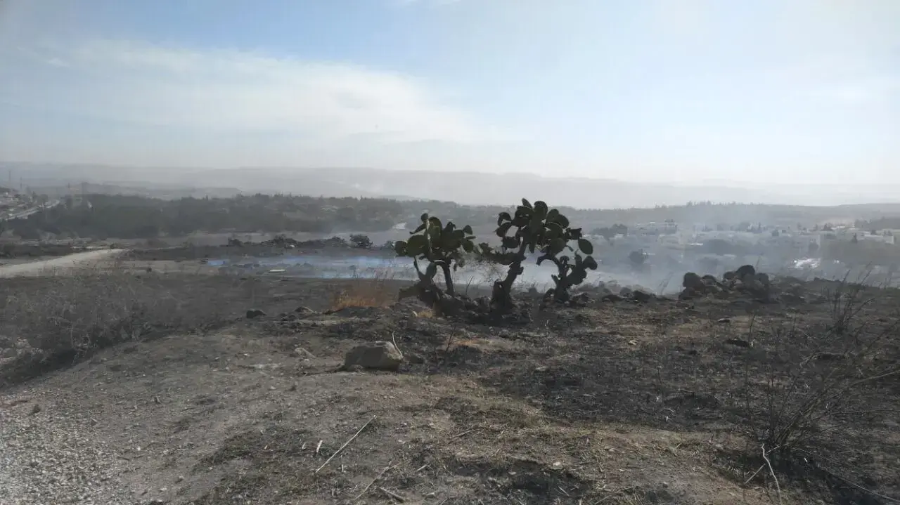 זירת השריפה במודיעין, 24 בנובמבר 2016 זירת השריפה במודיעין, 24 בנובמבר 2016